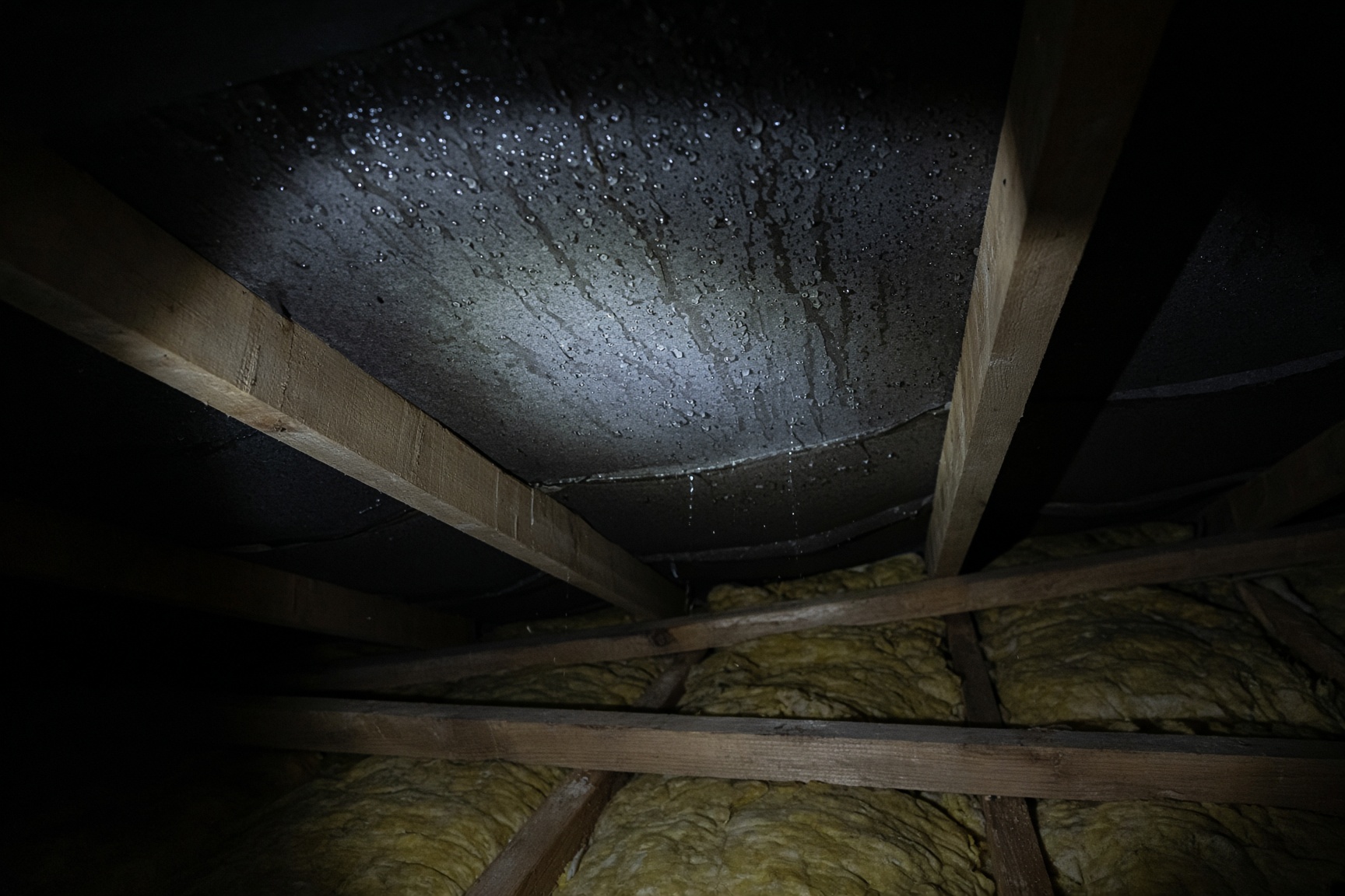 Water droplets of condensation on the underside of black roofing felt between timber rafters in a cold UK loft